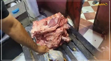 خطر غير متوقع أمانة تبوك تكشف تفاصيل مقلقة حول منزل عادي تحول إلى تهديد جدي للصحة العامة. 1